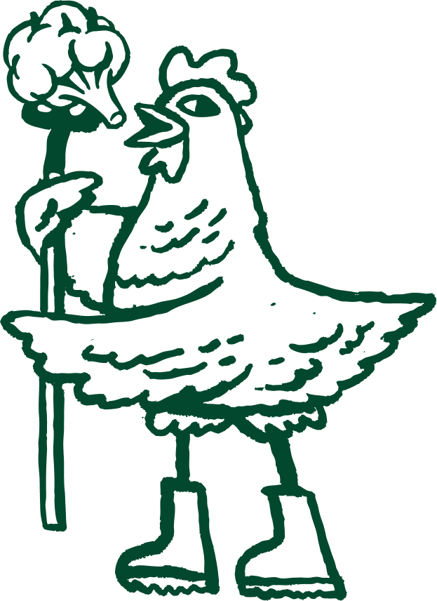 Decorative Chicken Illustration